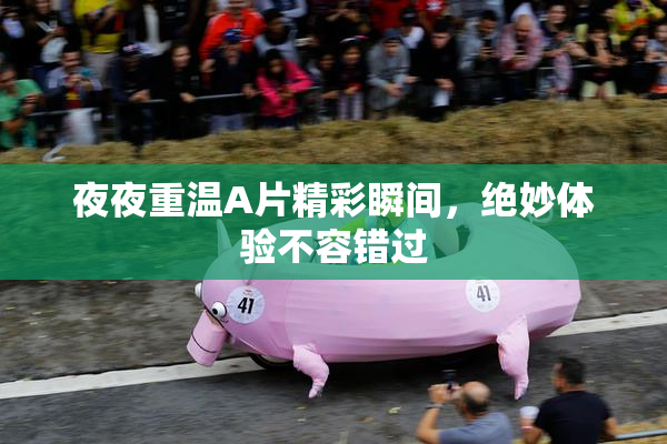 夜夜重温A片精彩瞬间，绝妙体验不容错过