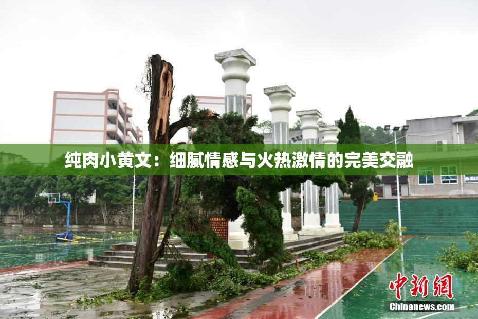 纯肉小黄文：细腻情感与火热激情的完美交融