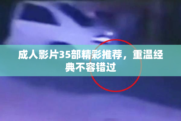 成人影片35部精彩推荐，重温经典不容错过