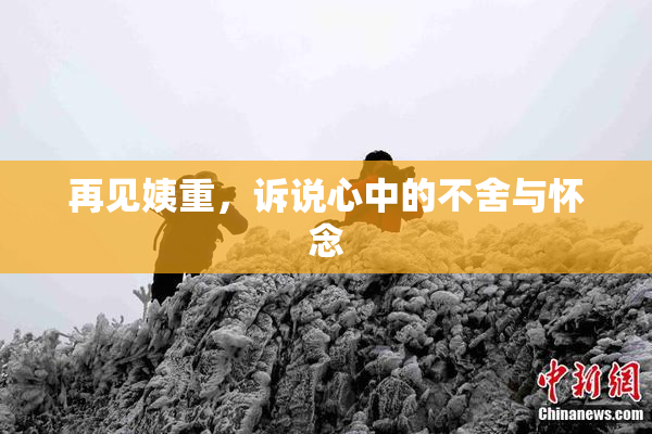 再见姨重，诉说心中的不舍与怀念