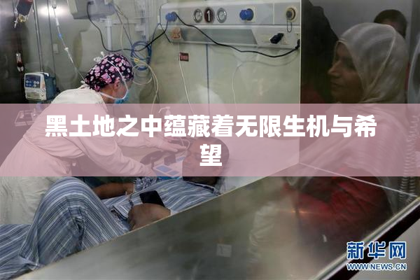 黑土地之中蕴藏着无限生机与希望