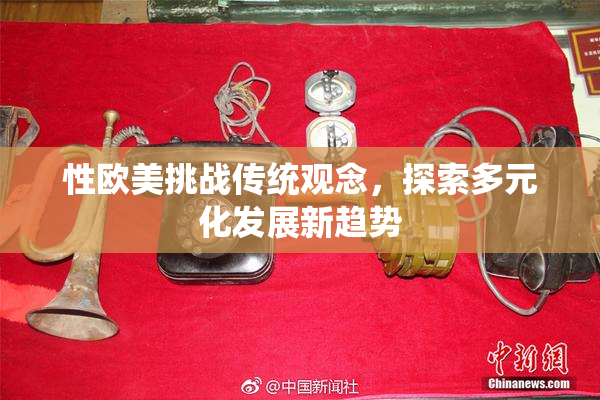 性欧美挑战传统观念，探索多元化发展新趋势