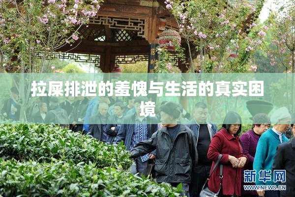 拉屎排泄的羞愧与生活的真实困境
