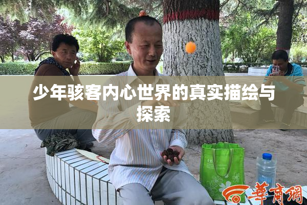 少年骇客内心世界的真实描绘与探索