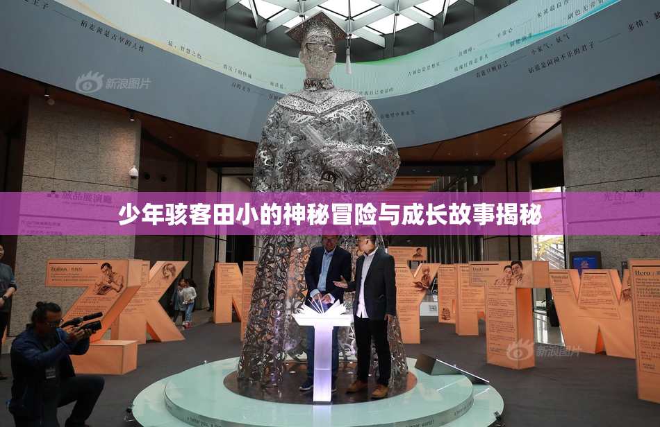 少年骇客田小的神秘冒险与成长故事揭秘