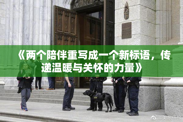 《两个陪伴重写成一个新标语，传递温暖与关怀的力量》
