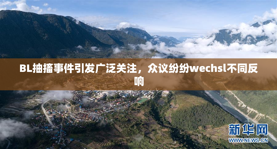 BL抽搐事件引发广泛关注，众议纷纷wechsl不同反响