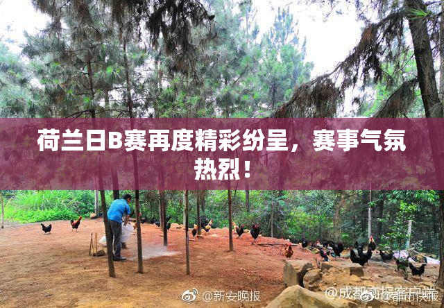 荷兰日B赛再度精彩纷呈，赛事气氛热烈！