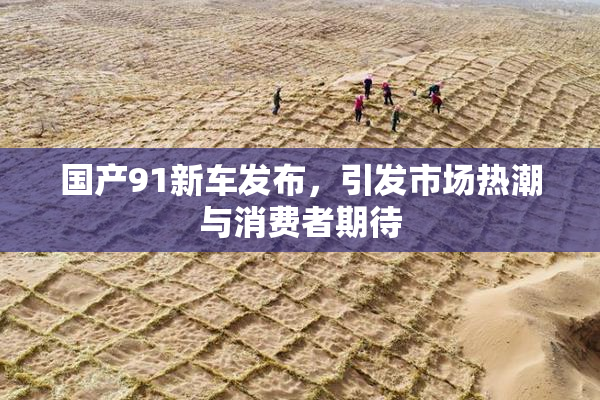 国产91新车发布，引发市场热潮与消费者期待
