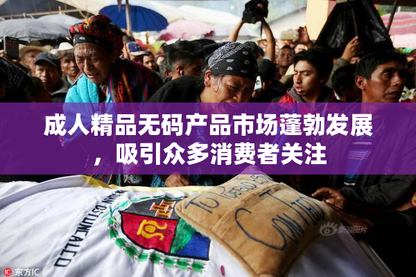 成人精品无码产品市场蓬勃发展，吸引众多消费者关注