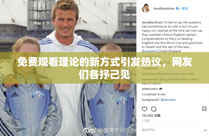 免费观看理论的新方式引发热议，网友们各抒己见