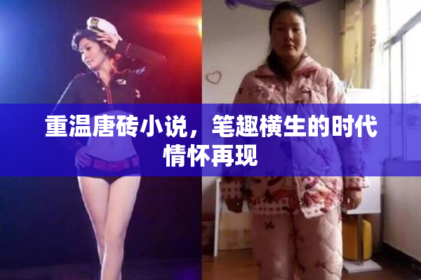 重温唐砖小说，笔趣横生的时代情怀再现
