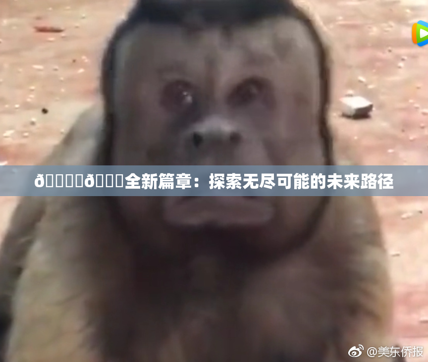 🔞‌🍌全新篇章：探索无尽可能的未来路径