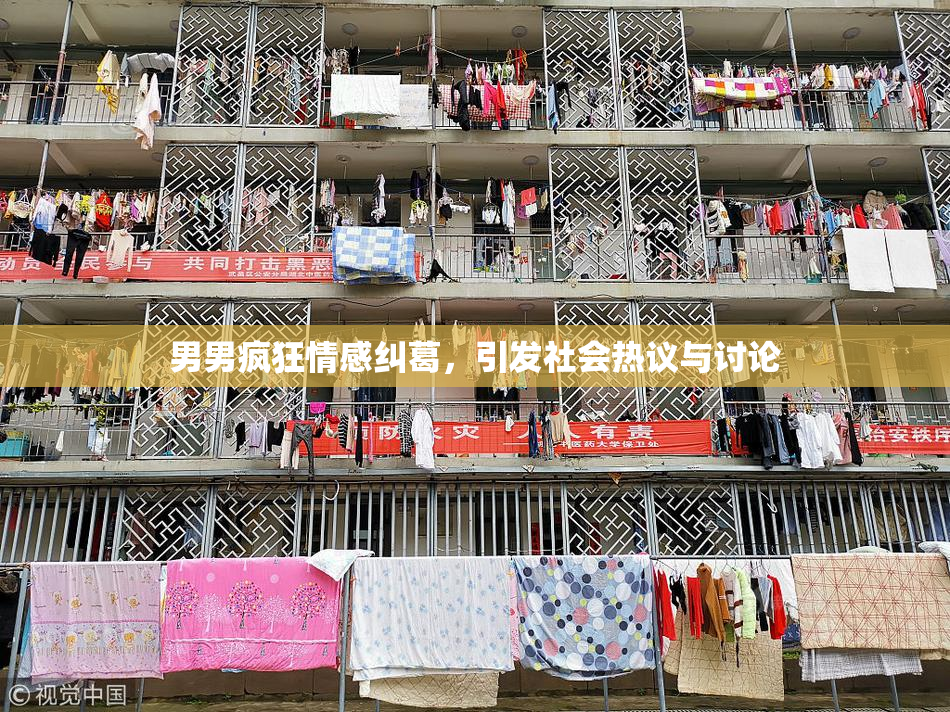男男疯狂情感纠葛，引发社会热议与讨论
