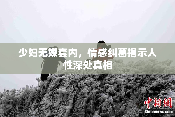少妇无媒套内，情感纠葛揭示人性深处真相