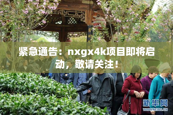 紧急通告：nxgx4k项目即将启动，敬请关注！