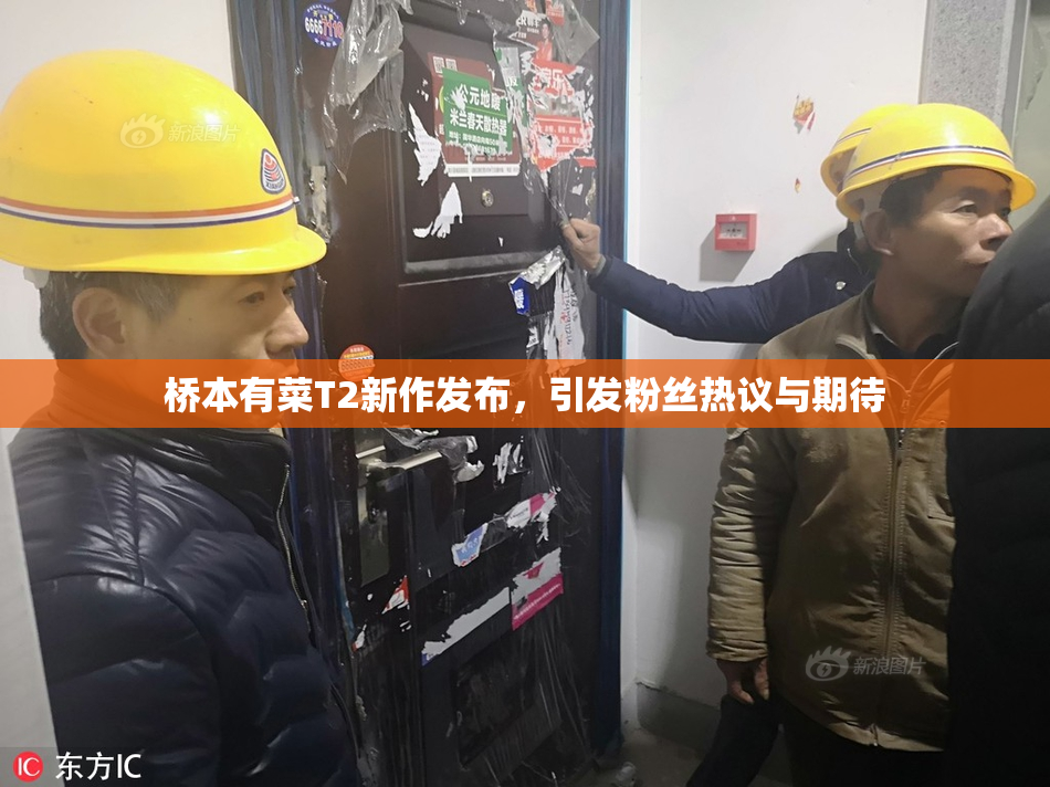 桥本有菜T2新作发布，引发粉丝热议与期待