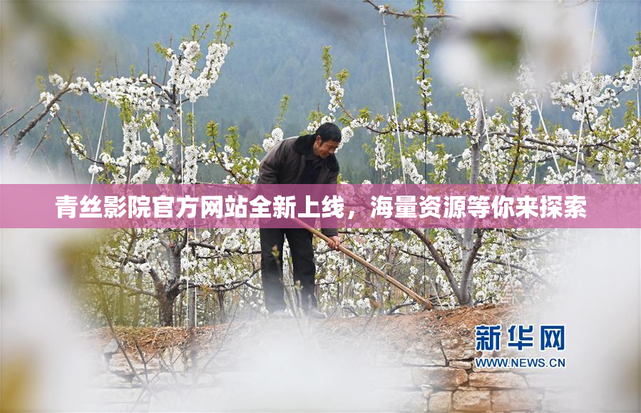 青丝影院官方网站全新上线，海量资源等你来探索