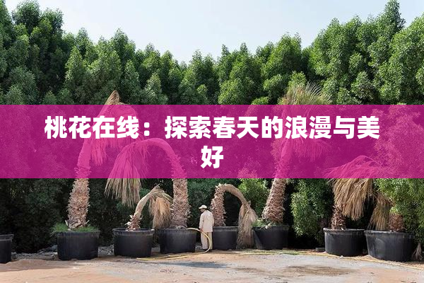 桃花在线：探索春天的浪漫与美好