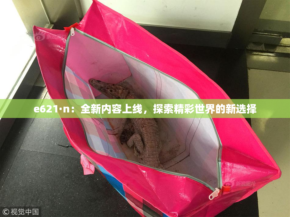 e621·n：全新内容上线，探索精彩世界的新选择