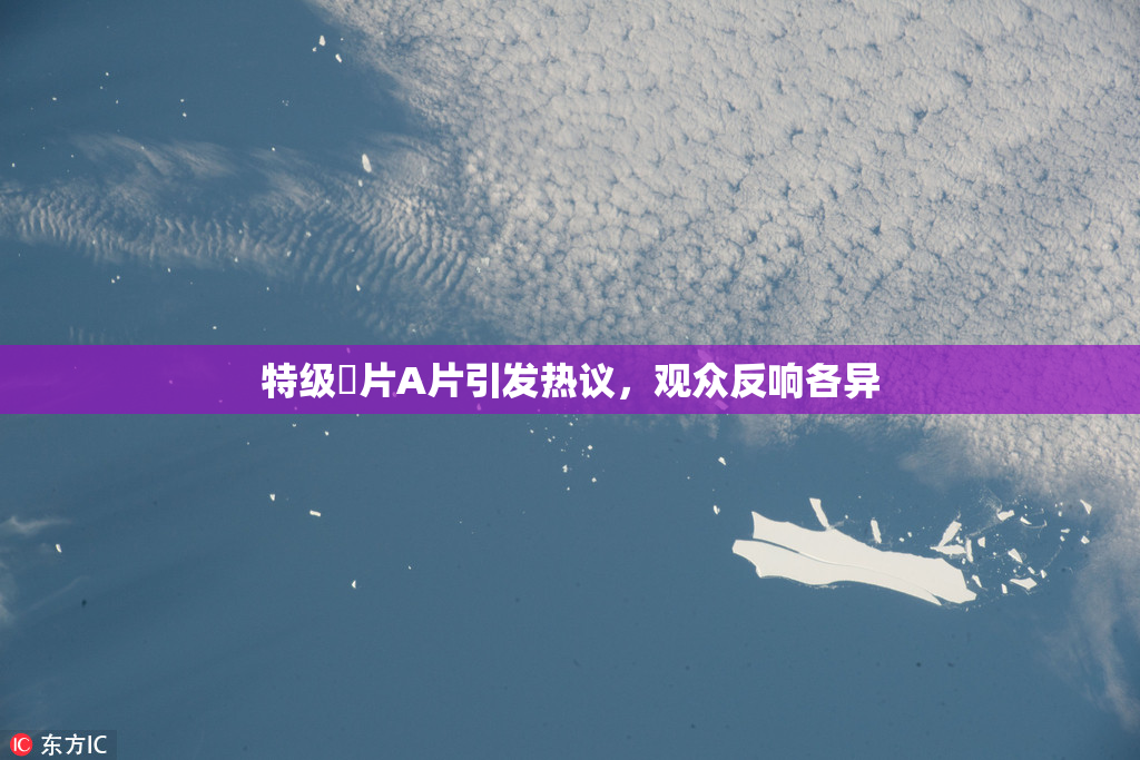 特级婬片A片引发热议，观众反响各异