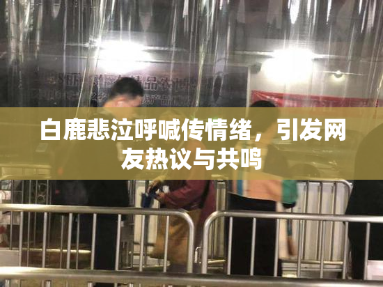 白鹿悲泣呼喊传情绪，引发网友热议与共鸣