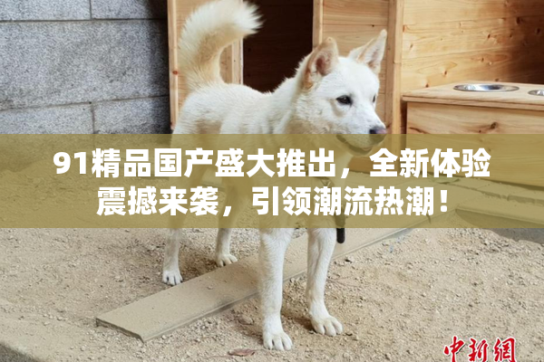 91精品国产盛大推出，全新体验震撼来袭，引领潮流热潮！