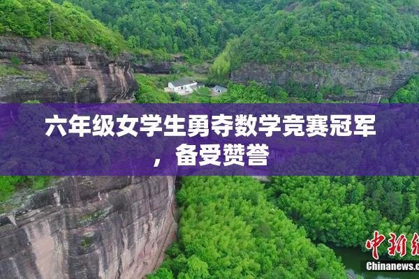 六年级女学生勇夺数学竞赛冠军，备受赞誉