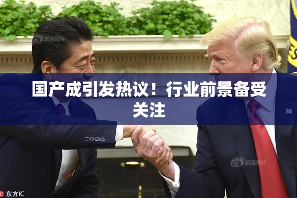 国产成引发热议！行业前景备受关注