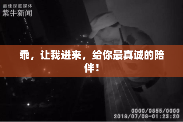 乖，让我进来，给你最真诚的陪伴！