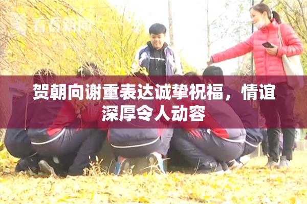 贺朝向谢重表达诚挚祝福，情谊深厚令人动容