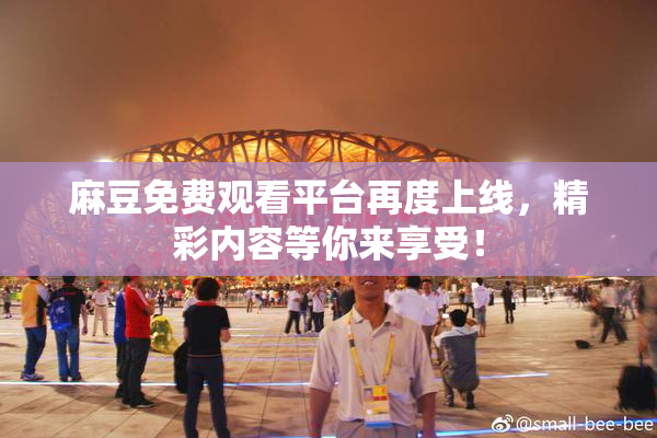 麻豆免费观看平台再度上线，精彩内容等你来享受！