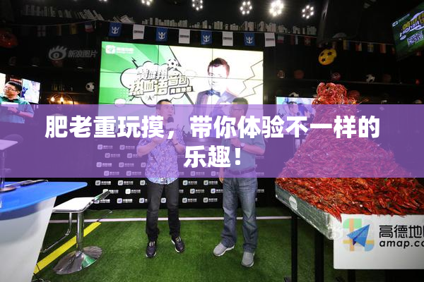 肥老重玩摸，带你体验不一样的乐趣！
