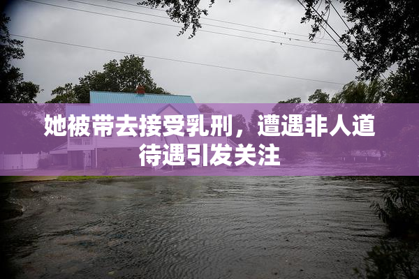 她被带去接受乳刑，遭遇非人道待遇引发关注