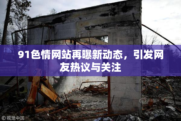 91色情网站再曝新动态，引发网友热议与关注