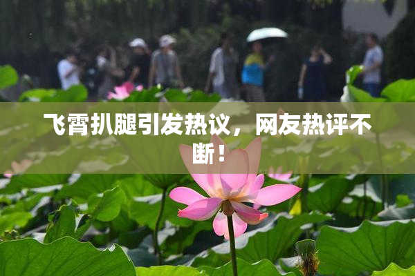飞霄扒腿引发热议，网友热评不断！
