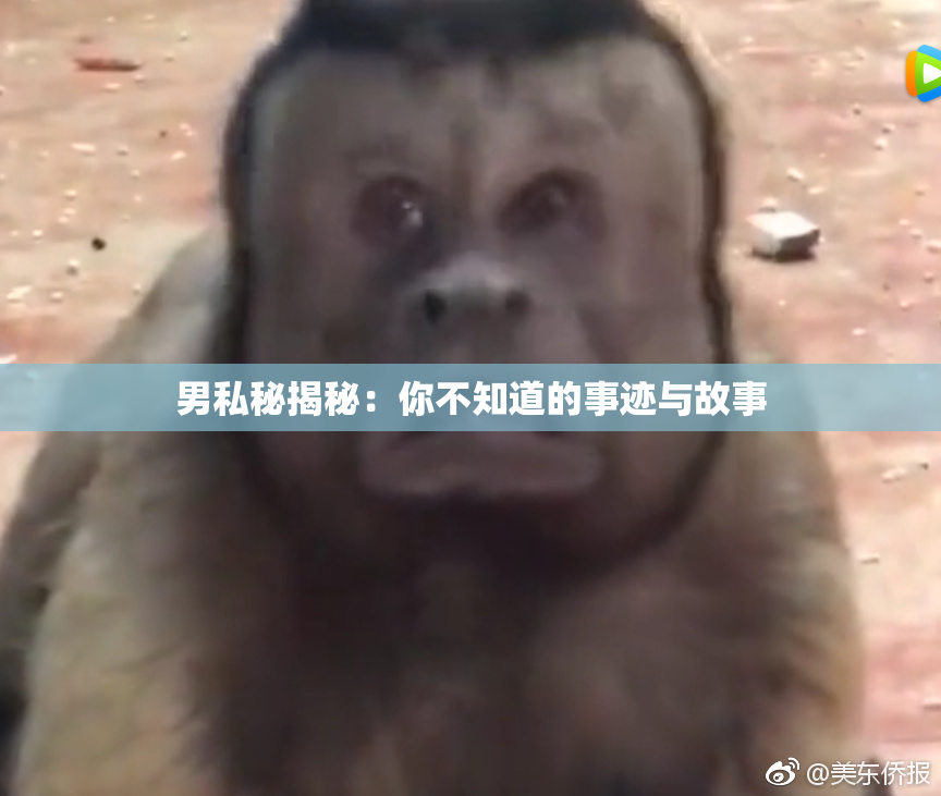 男私秘揭秘：你不知道的事迹与故事