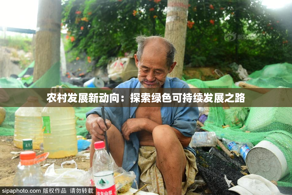 农村发展新动向：探索绿色可持续发展之路