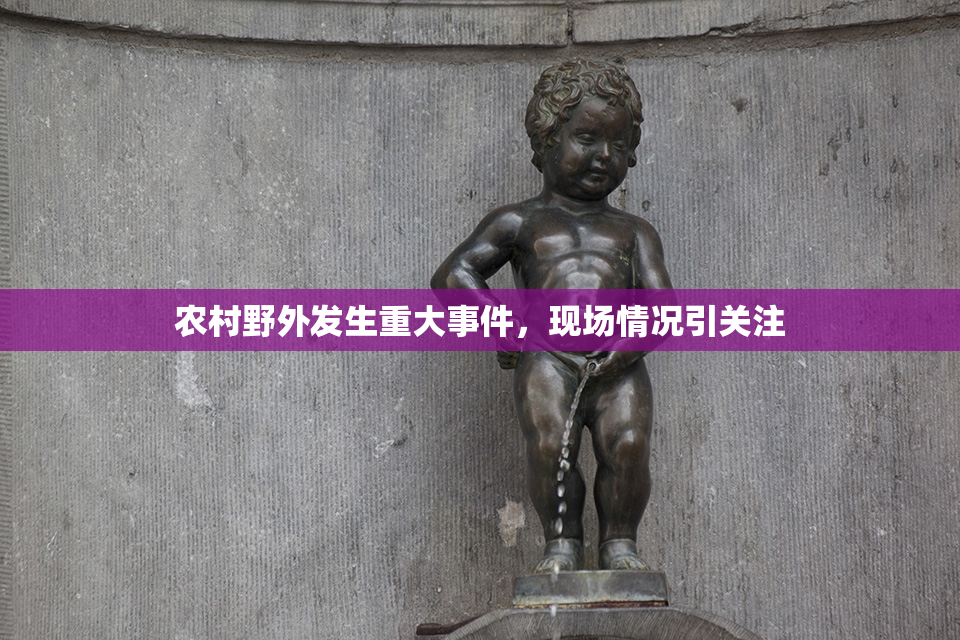 农村野外发生重大事件，现场情况引关注