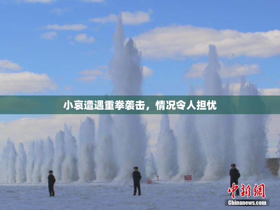 小哀遭遇重拳袭击，情况令人担忧