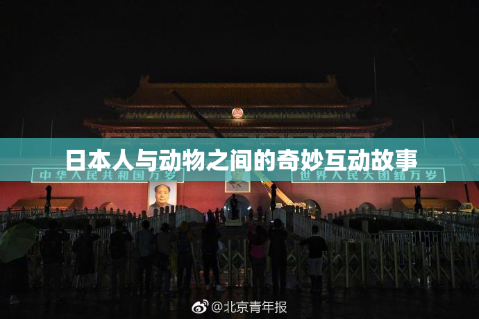 日本人与动物之间的奇妙互动故事