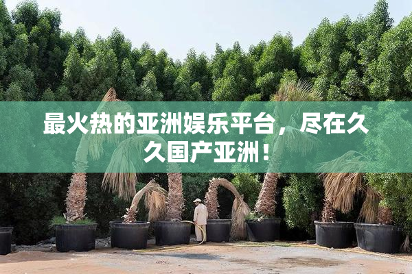 最火热的亚洲娱乐平台，尽在久久国产亚洲！