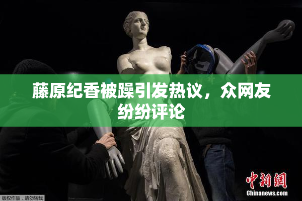 藤原纪香被躁引发热议，众网友纷纷评论