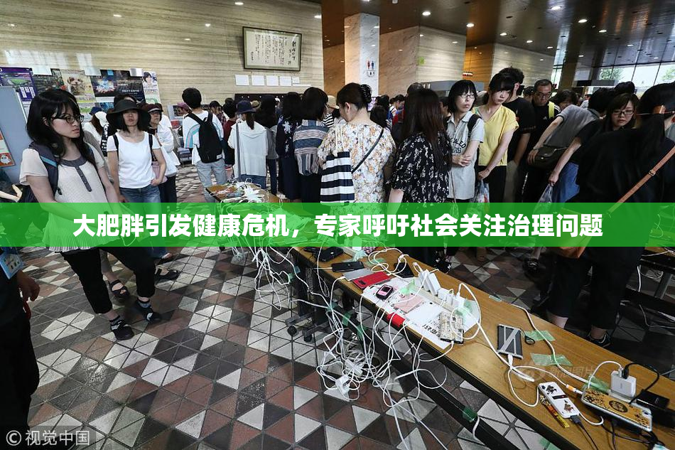 大肥胖引发健康危机，专家呼吁社会关注治理问题