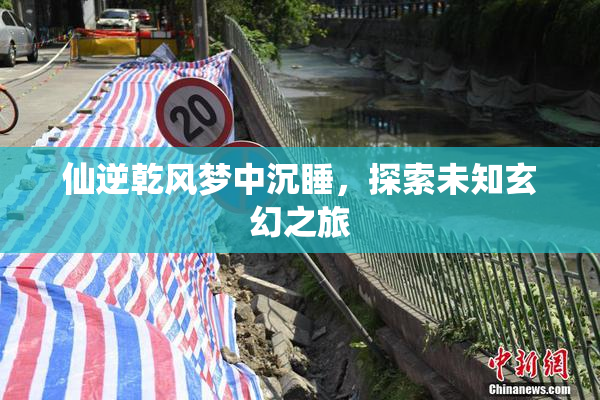 仙逆乾风梦中沉睡，探索未知玄幻之旅