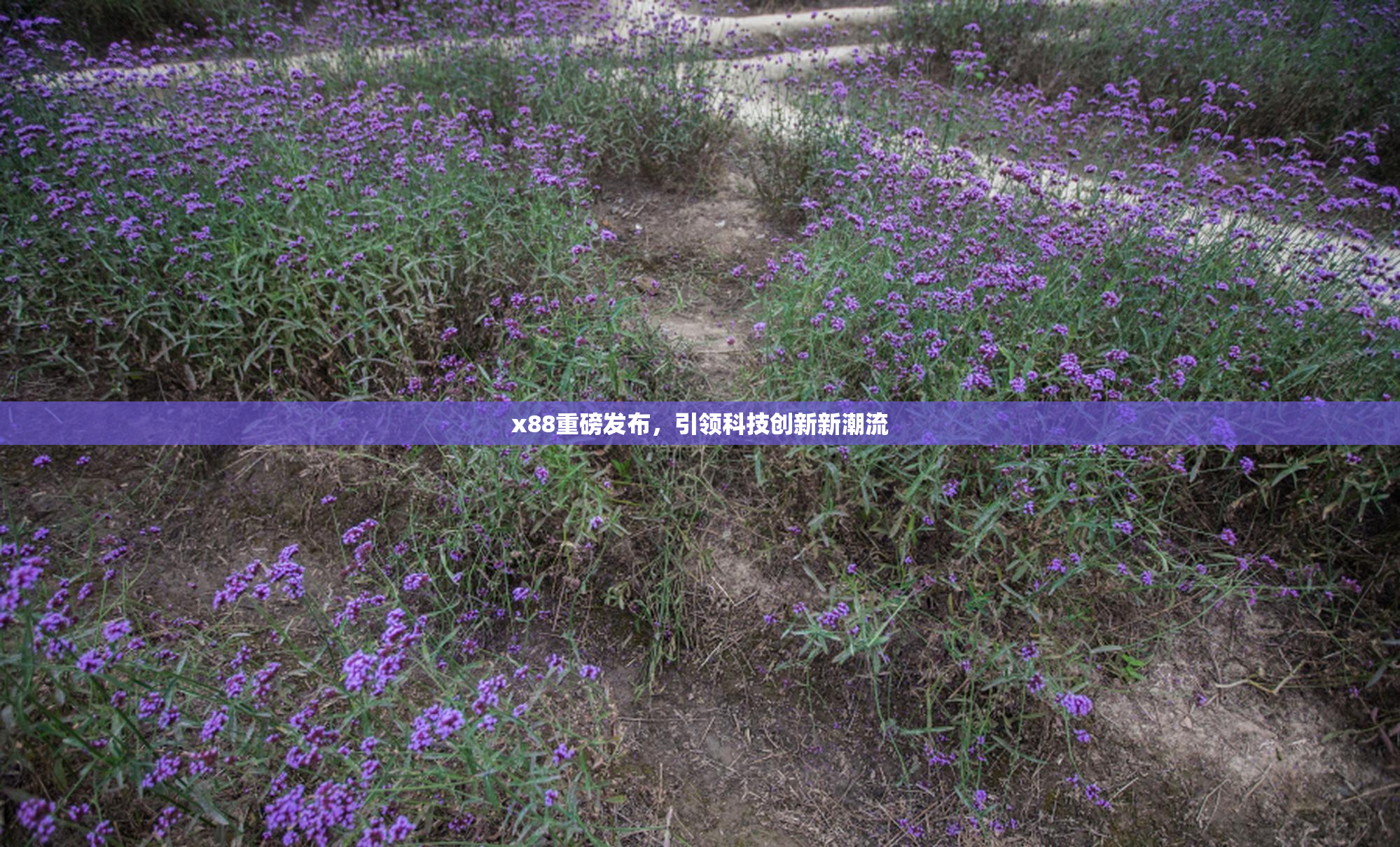 x88重磅发布，引领科技创新新潮流