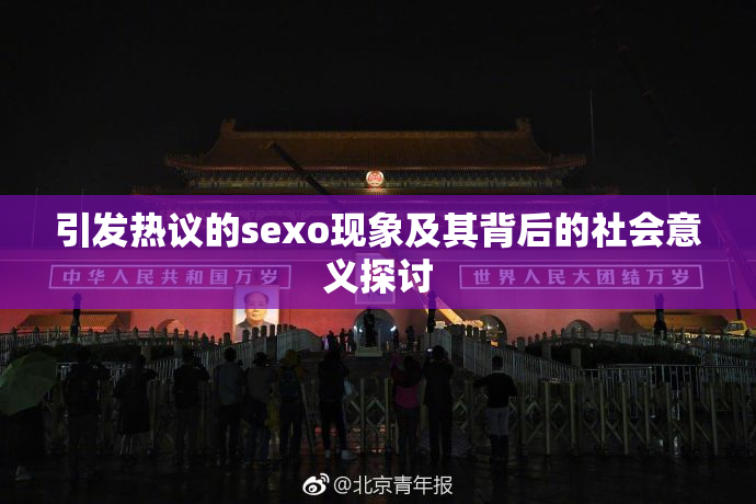 引发热议的sexo现象及其背后的社会意义探讨