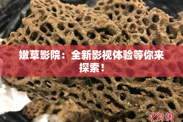 嫩草影院：全新影视体验等你来探索！