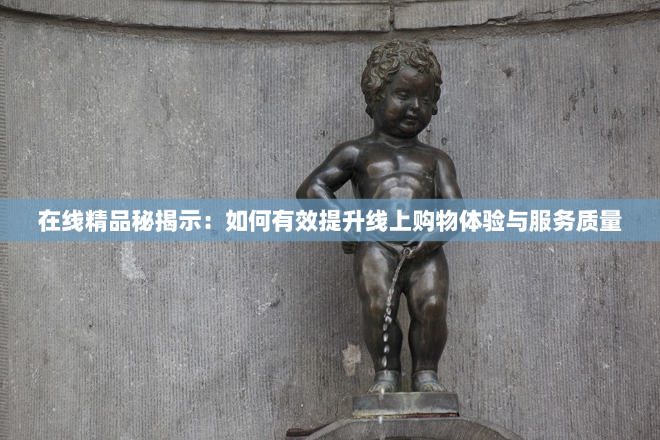 在线精品秘揭示：如何有效提升线上购物体验与服务质量