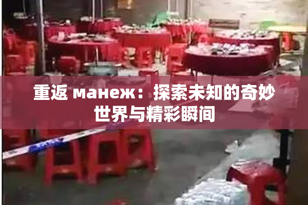 重返 манеж：探索未知的奇妙世界与精彩瞬间